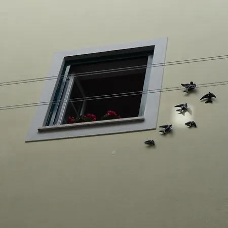 Acolhedor Em Alfama *